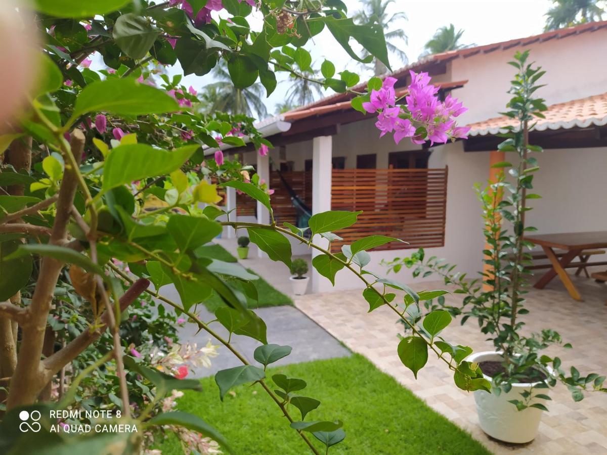 Casa Grande Bed & Breakfast Camocim Luaran gambar